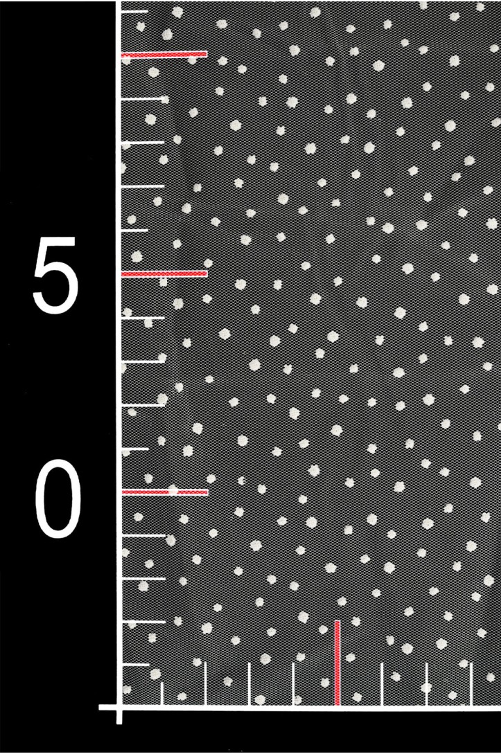 WEICH TÜLL GEPUNKTET P8-208