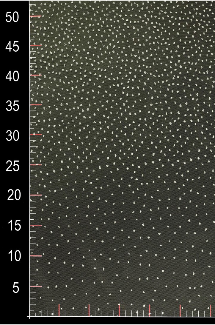 Sample VOB 50 GLITTER TULLE asymetric dots