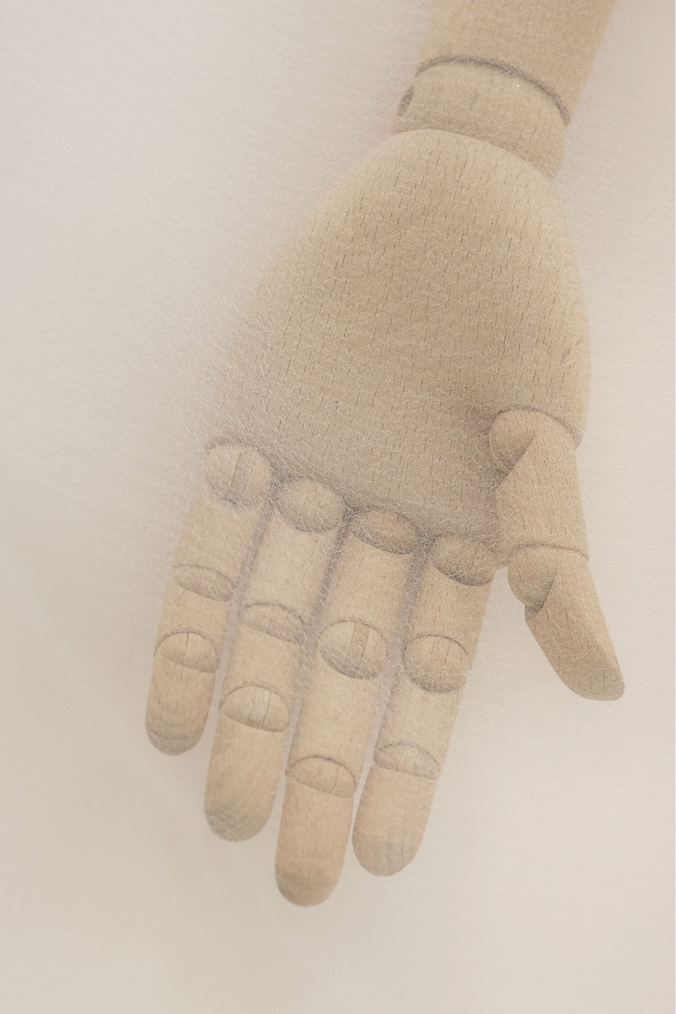 PST 2020 organza pearl