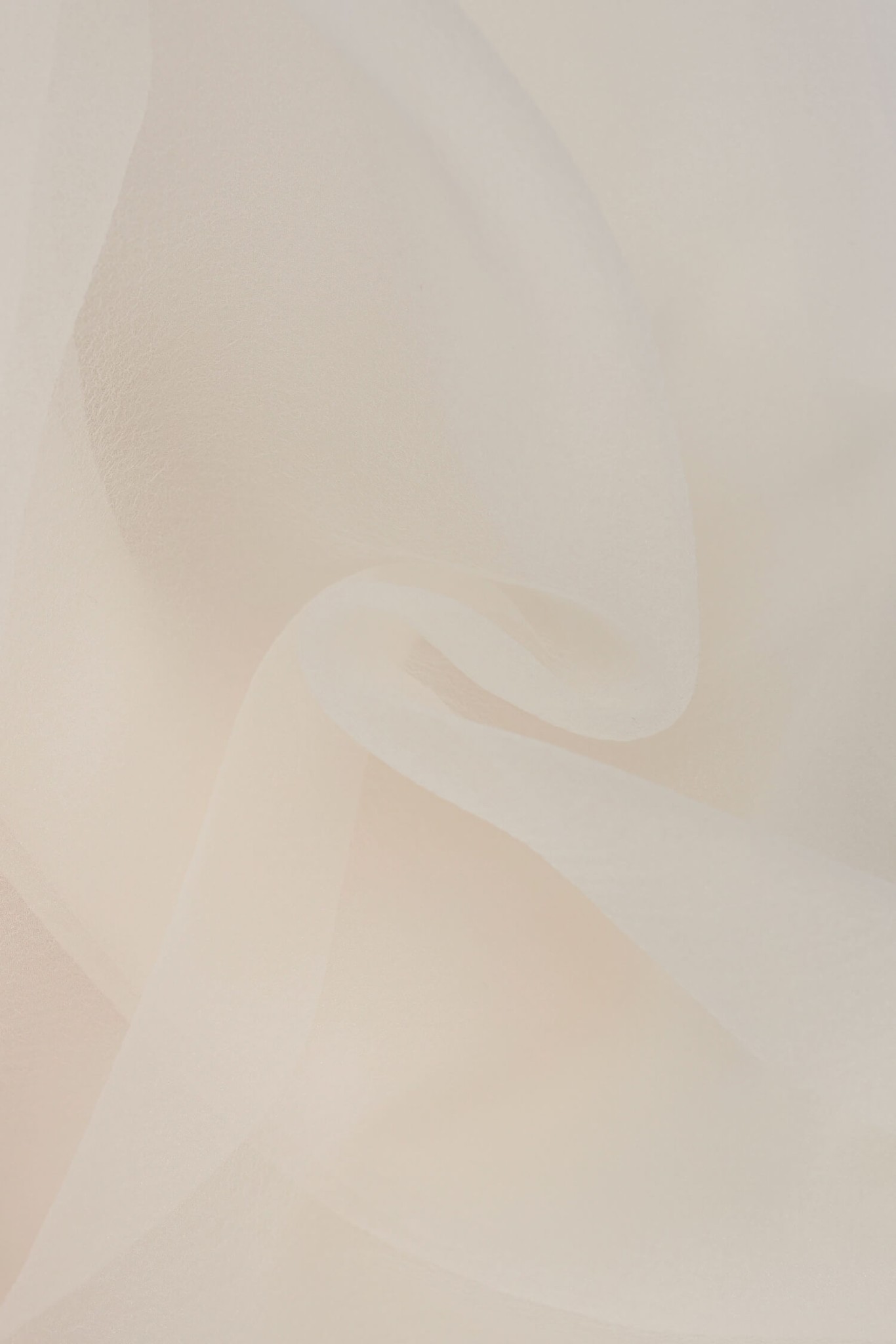 PST 2020 Organza Perle