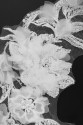 APLIKACJA 3D VL037