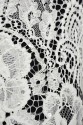 FRENCH LACE W32221 IVORY KORD ZDOB FRENCH LACE W32221 IVORY KORD ZDOB