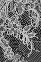 FRENCH LACE FL291 FRENCH LACE FL291