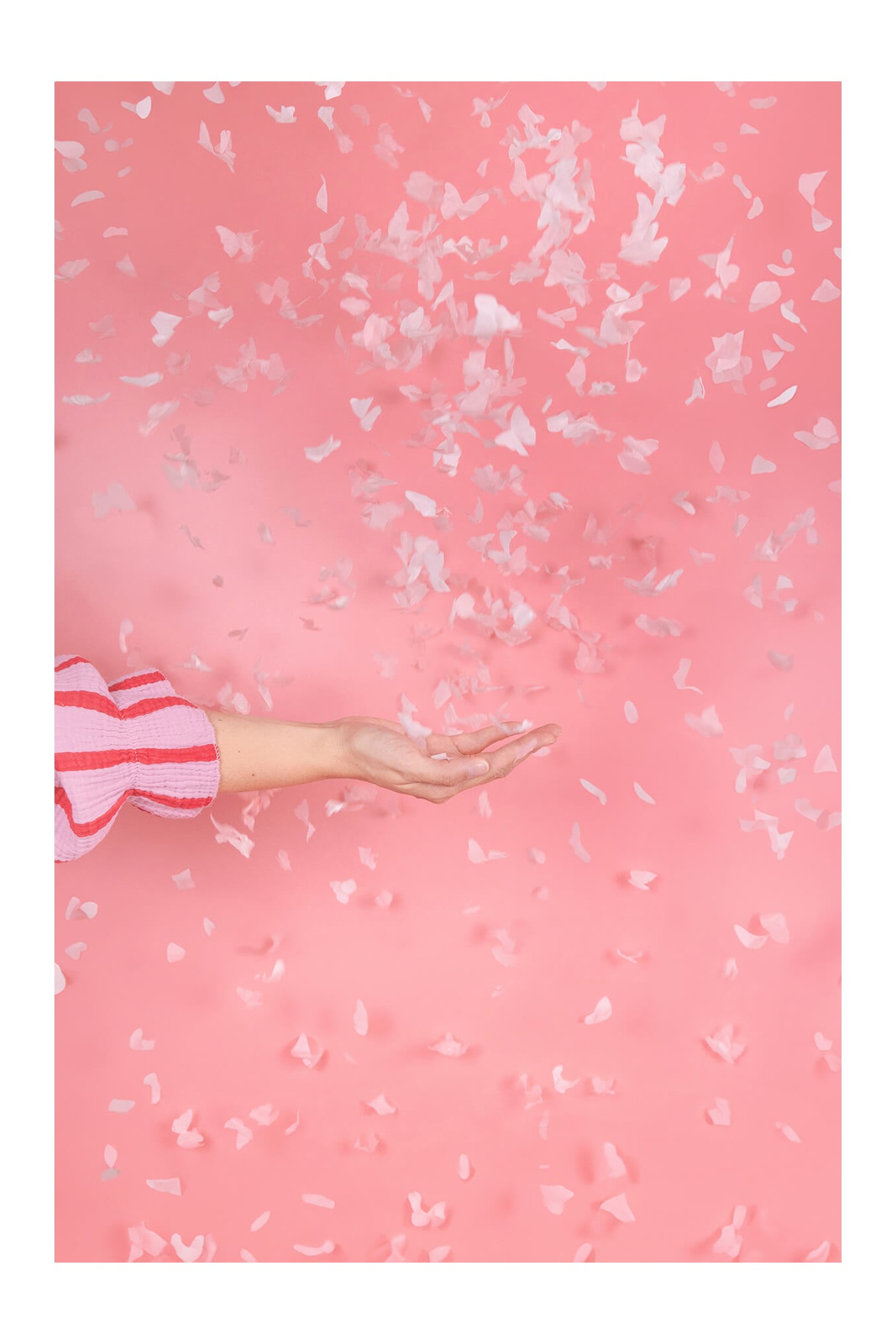 Konfettikanone mit Schmetterlingen, 20 cm