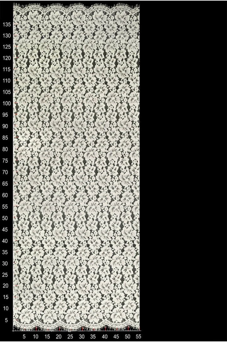 FRANZÖSISCHE FL405