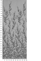 KORONKA WIECZOROWA VL76425 DARK GREY