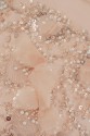 EVENING LACE 3D VL764263 APRICOT PINK