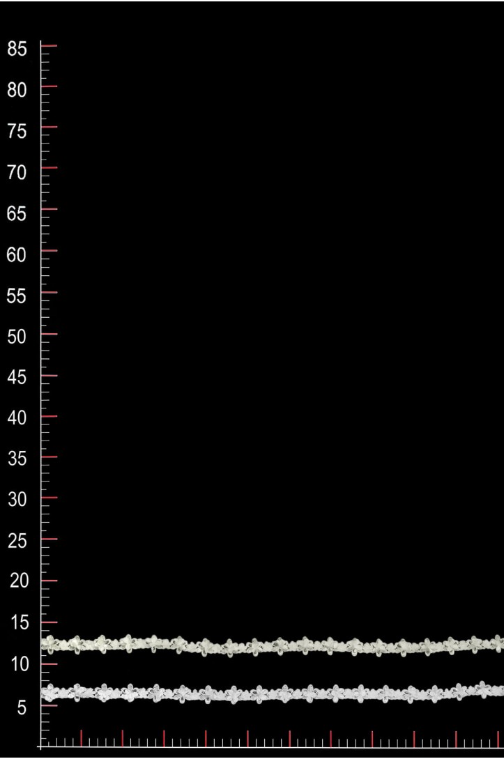 BAND WT15270