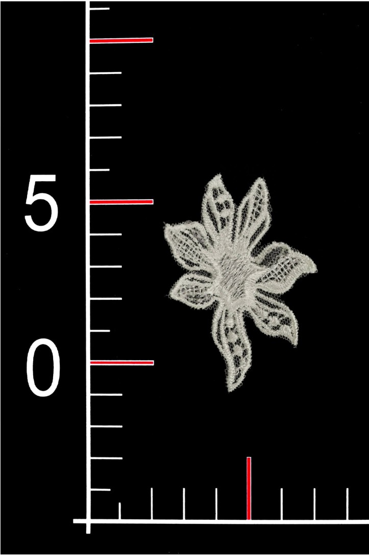 CYG BLUME TY73