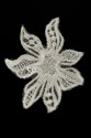 CYG BLUME TY73
