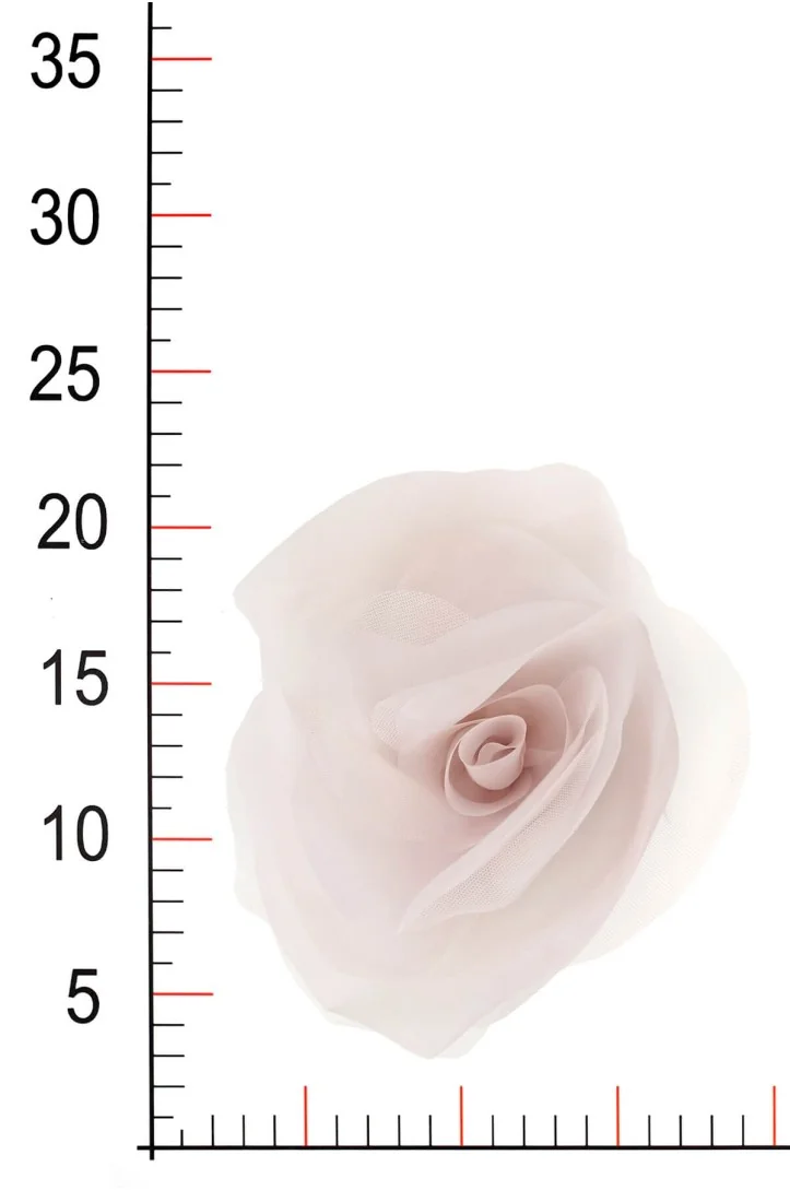 FLOWER 0273