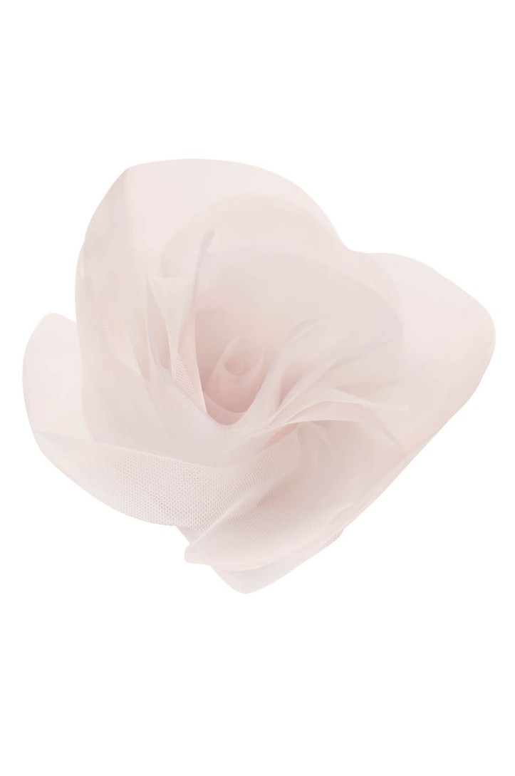 BLUME 0273