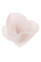 BLUME 0273