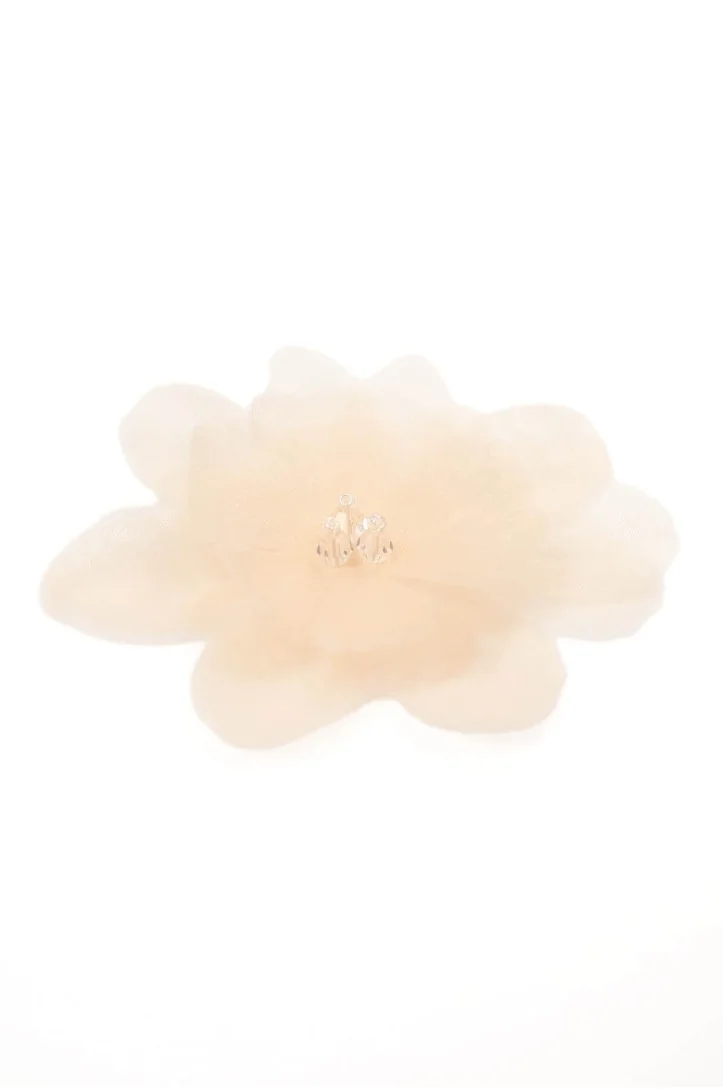 BLUME 0324