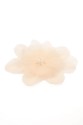 FLOWER 0324