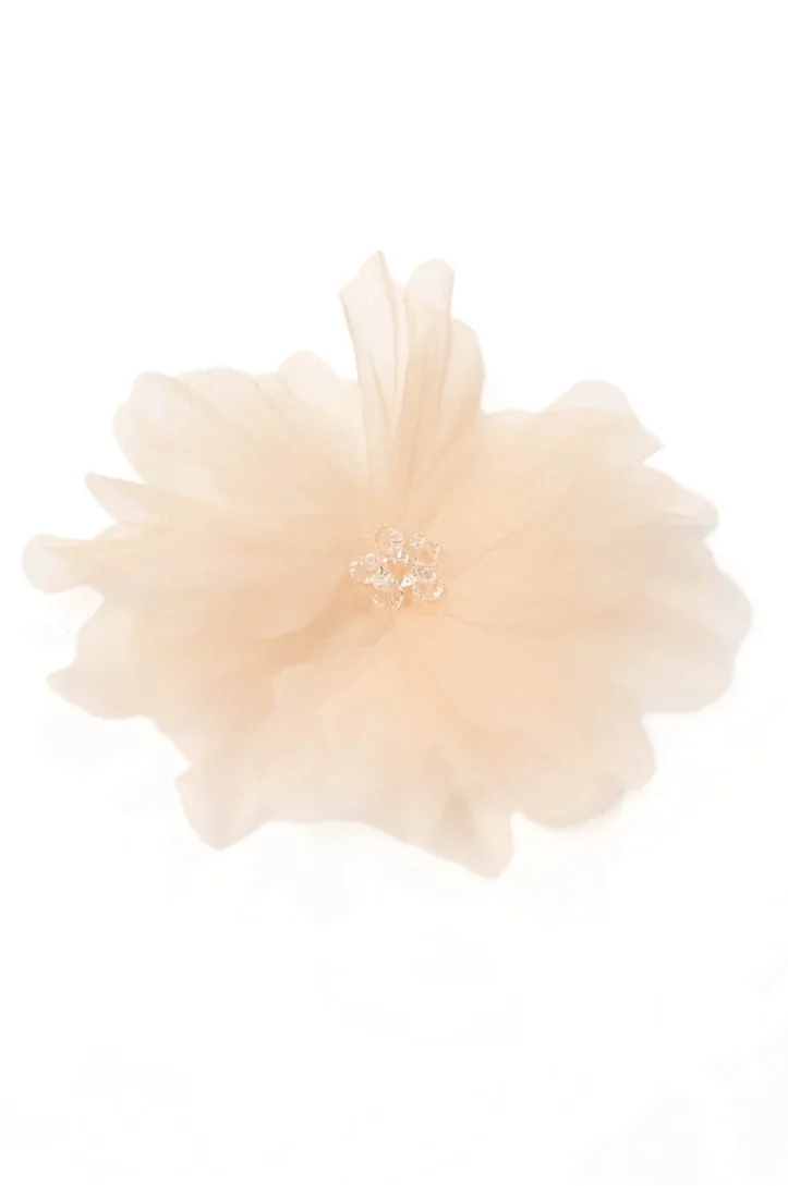 BLUME 0325