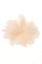 BLUME 0325