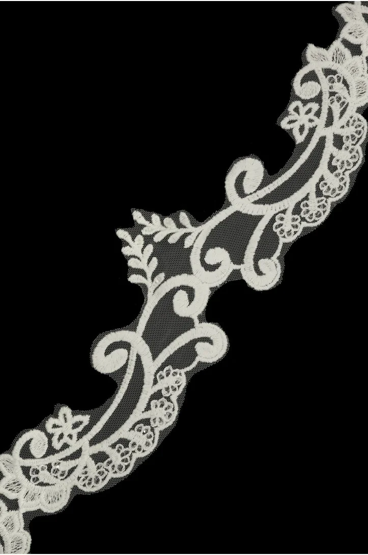 BAND ML712907