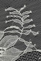 FRENCH LACE LER C563