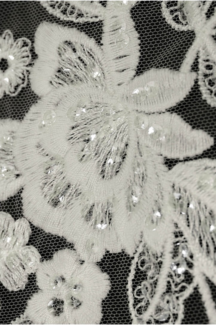 MOTIF ML204237