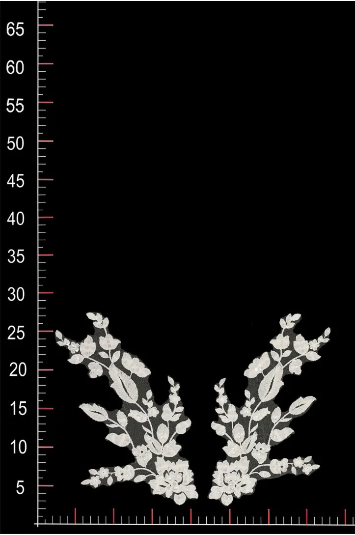 MOTIF ML204269
