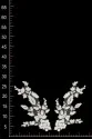 APLIKACJA ML204269