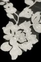 APLIKACJA ML204269