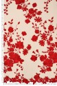 EVENING LACE 5639 SKIN RED