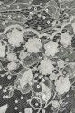 BRIDAL LACE 14161