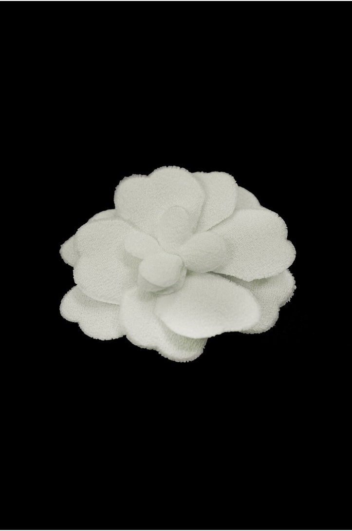 APLIKACJA WA0491