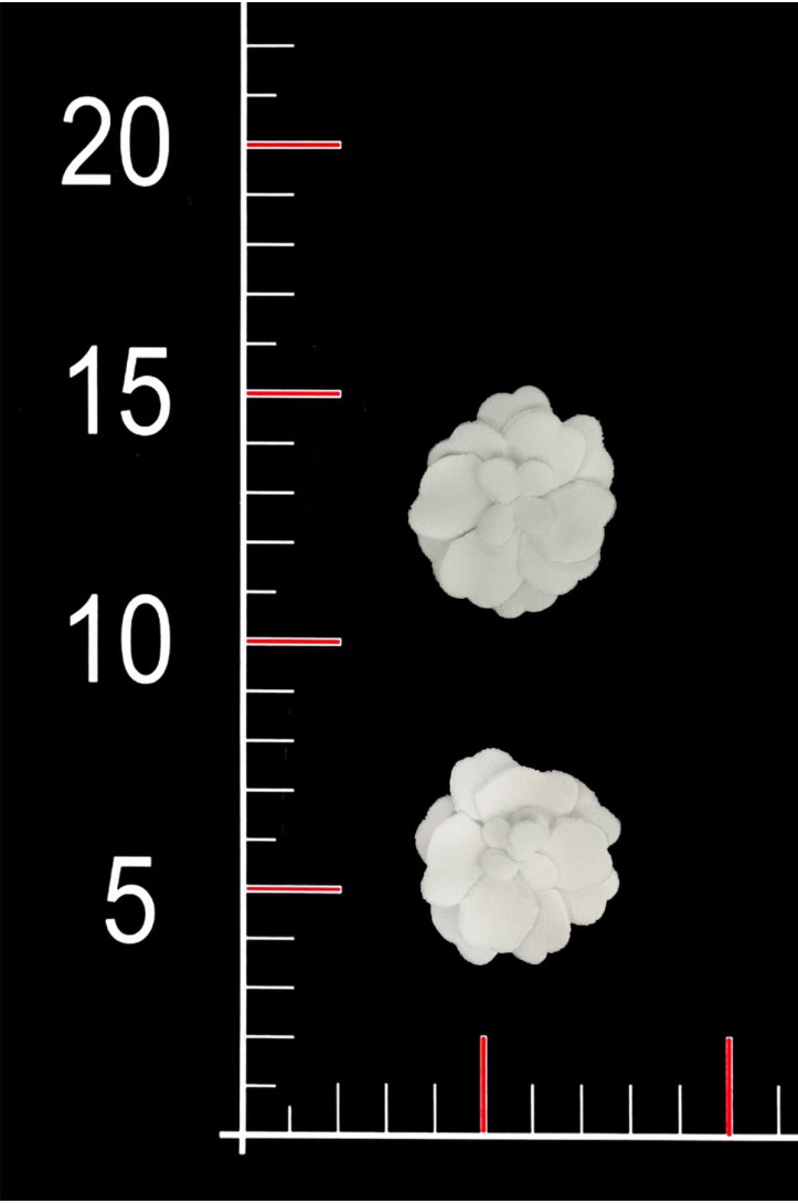 APLIKACJA WA0491