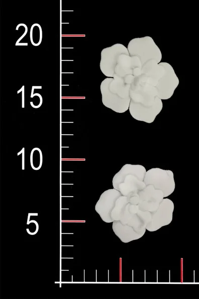 APLIKACJA WA0492