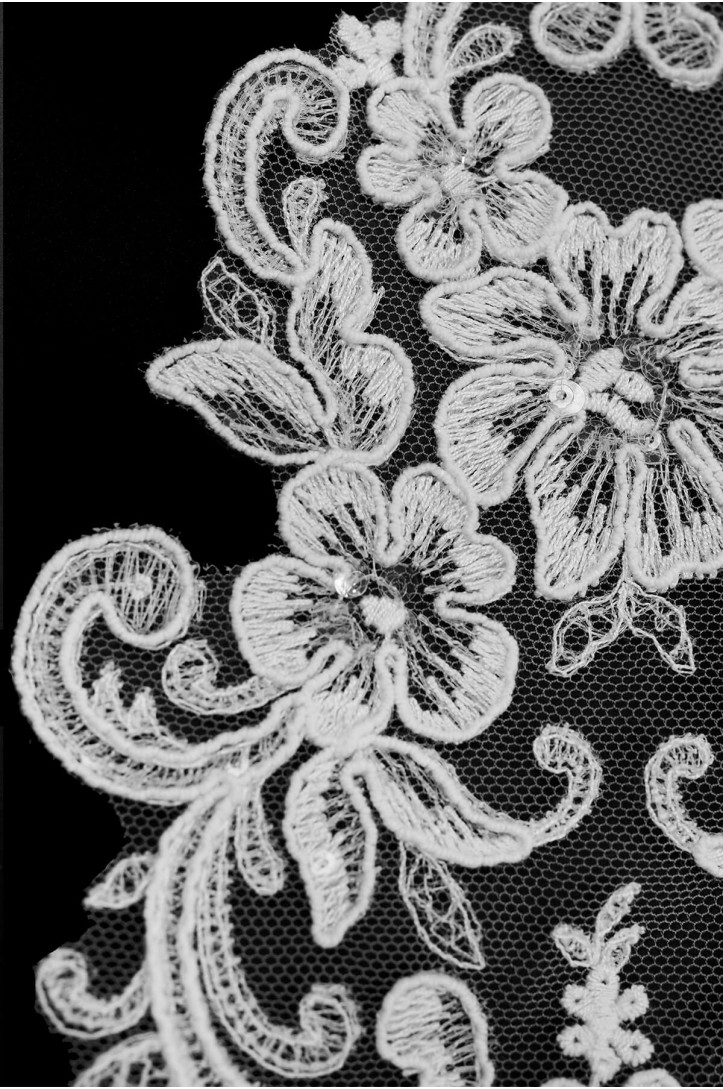 MOTIF WA23007-2