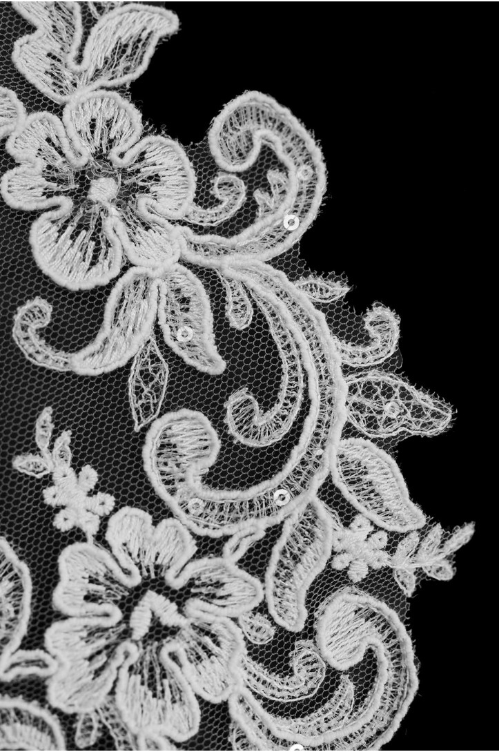 MOTIF WA23007-2