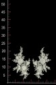 MOTIF 3D WA23103