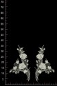 MOTIF ML710516