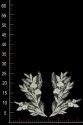 APPLIKATION ML710757
