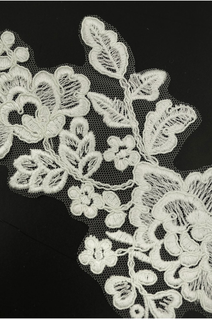 MOTIF ML711129