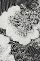 BRIDAL LACE 14757