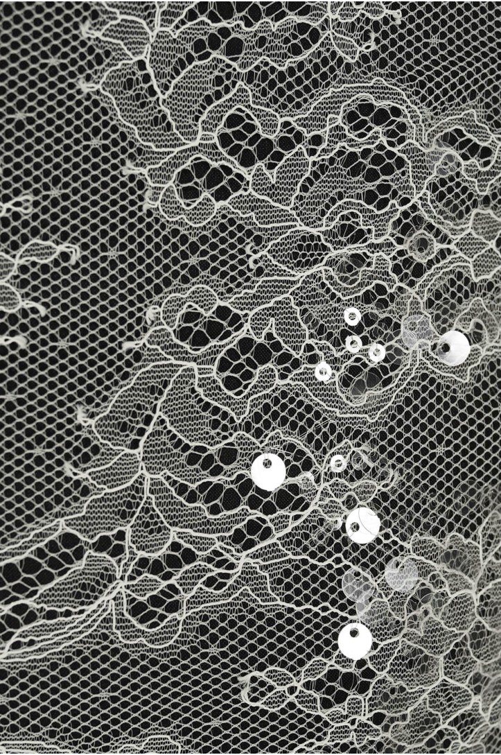 FRENCH LACE ML503148