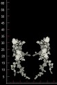 APPLIKATION 3D ML712197