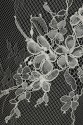 FRENCH LACE VL37 KORD