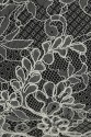 FRENCH LACE VL38 KORD