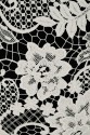 FRENCH LACE VVL16002 KORD
