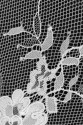 FRENCH LACE VL82330