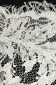 FRENCH LACE VL56559