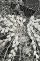 BRIDAL LACE VL66379