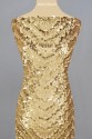 CYG SEQUIN