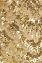 EVENING LACE CYG SEQUIN