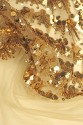 EVENING LACE CYG SEQUIN
